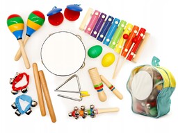 Zestaw instrumentów dla dzieci, Ecotoys