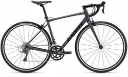 Giant contend 2 2024