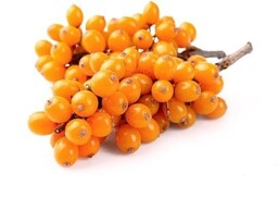 EQUIHERBS Rokitnik 0,5 kg
