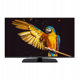 Telewizor GoGEN TVF40M340STWEB 40"