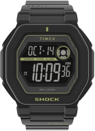 Timex TW2V59800