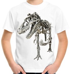 Koszulka z dinozaurem t-rex dinozaur szkielet dziecięca