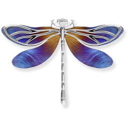 ankabizuteria.pl Broszko-wisior srebrna WAŻKA z tytanem