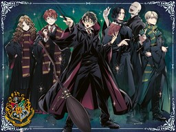 Adult puzzle 1500 Teile - Harry Potter -