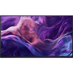 Monitor 23.8 cala P2425H WOST IPS 1920x1080/16:9/DP/HDMI/USBC/VGA/USB/No stand/3Y