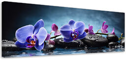 Obraz na płótnie, Niebieska Orchidea Zen 120x40