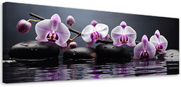 Obraz na płótnie, Spa Zen Orchidea 120x40