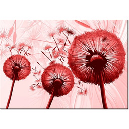 100 70cm Obraz płótno Dmuchawce czerwieni płótno rama