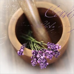 Pro-Art gla728b obraz ścienny szkło sztuka "Lovely lavender