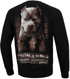 Pit Bull Bluza Bez Kaptura Mugshot Crewneck Black