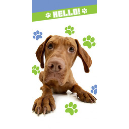 Carbotex, Ręcznik bawełniany, Pies, 70x140 cm