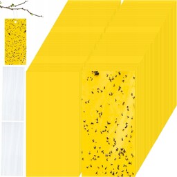 100x Tablice Lepowe Lepy Żółte Na Drzewka Czerśnie