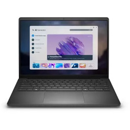 Dell 14 DC14255 14" R7 250 16GB RAM