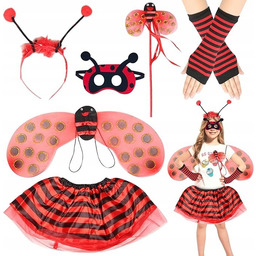 STRÓJ PRZEBRANIE BIEDRONKI DLA DZIEWCZYNKI DZIECI KOSTIUM BIEDRONECZKA