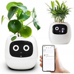 Doniczka Ivy Planter Inteligentna osłonka Smart donica porady