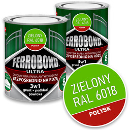 Farba do Metalu na Rdzę Zielony Połysk Ral