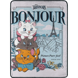 Northwest Disney''s Aristocats Micro Raschel koc narzuta, 117