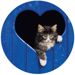 Dekoracyjny opłatek tortowy Kotek - 20 cm