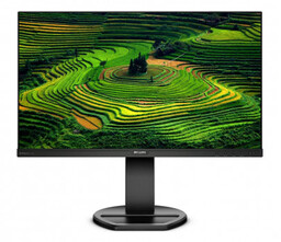 Monitor 23.8 241B8QJEB IPS DVI HDMI DP Pivot