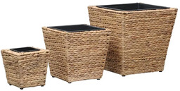Elior Komplet 3 donic z hiacyntu wodnego -