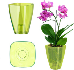 Doniczka kwadratowa Menfi 13 cm, zielona
