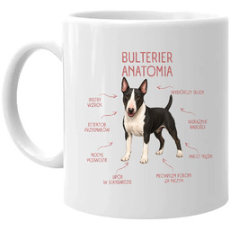 Anatomia Bulteriera - kubek na prezent dla miłośnika