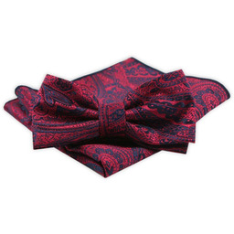 Męska Mucha z Poszetką w Zestawie - Alties