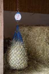 Szybka waga wskazująca 50 kg kolor niebieski