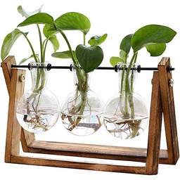 XXXFLOWER Terrarium roślinne z drewnianą podstawką, szklane wazony
