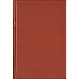 PROMIEŃ. POWIEŚĆ Stefan Żeromski