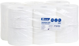 Papier toaletowy Merida TOP 900 12 rolek 180