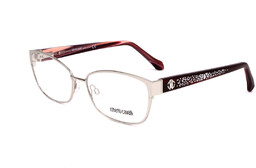 Okulary ROBERTO CAVALLI RC5024-016. Okulary korekcyjne, Kolor szary.
