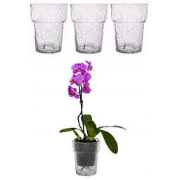 Zestaw 3 x Doniczka szklana do storczyków duża