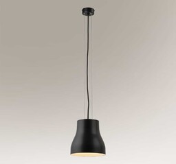 Industrialna lampa wisząca NIGATA 7836 Shilo metalowa