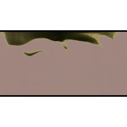 Glazura 60 x 30 Vivo Black 1,44 /