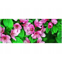 100x40cm Azalie Japońskie obraz drewno