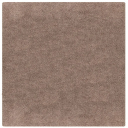 Profeos Brązowy dywan z antypoślizgowy 200x200 M5-M68