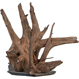 sera Scaper Wood M 18-20 cm - kompaktowe
