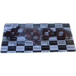 Uszczelki kolektora ssącego Ford Lincoln Town Car 2005-