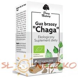 GUZ BRZOZY CHAGA BIO 60 KAPSUŁEK (470 mg)