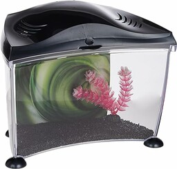 Marina Akwarium dla ryb Betta Grafit 6,7 l