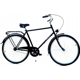 Rower miejski męski z przerzutkami DALLAS BIKE 28