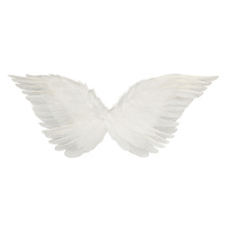 Skrzydła anioła białe - 67 x 26 cm