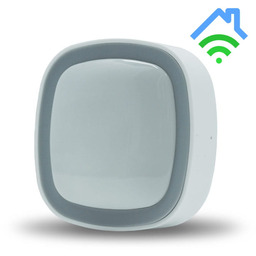 Czujnik ruchu Pir Ferguson Smart Home 2.0