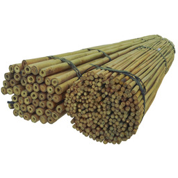 Tyczki Bambusowe 120 cm 14/16 mm /100 szt,