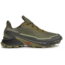 Buty do biegania Salomon Alphacross 5 Gtx GORE-TEX