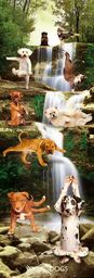 Joga - Zabawne Figury przy Wodospadzie - Psy