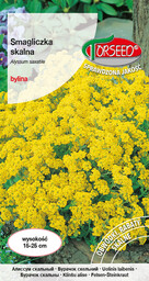 Smagliczka skalna - Alyssum saxatile żółta 0,5g