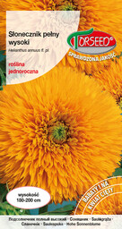 Słonecznik kwiatowy - Helianthus annuus pełny wysoki -