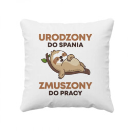 Urodzony do spania, zmuszony do pracy - poduszka